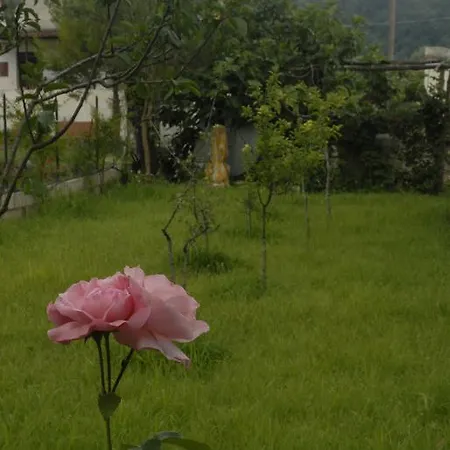 Bed & Breakfast Marcella