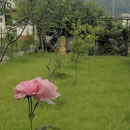 Bed & Breakfast Marcella 4*